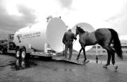 Horse HBOT chamber in VancouverThey shoot horses, don't they?</A> - National Post - August 24, 2000 and Trot Magazine - July 2000<dir> Caution: horses under pressure<p>

VANCOUVER - In a quiet warehouse in suburban Vancouver, two men are revolutionizing

the equine world. Chris Martin and his uncle, Pat Greiner, are building hyperbaric

chambers for horses.

Decompression chambers are used to treat human ailments. Now, racehorses are betting on them, too. </dir>

<br clear=all>
<p>

<LI><A HREF=